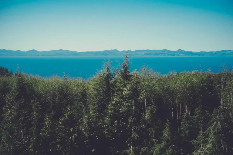 High resolution placeholder photograph 1