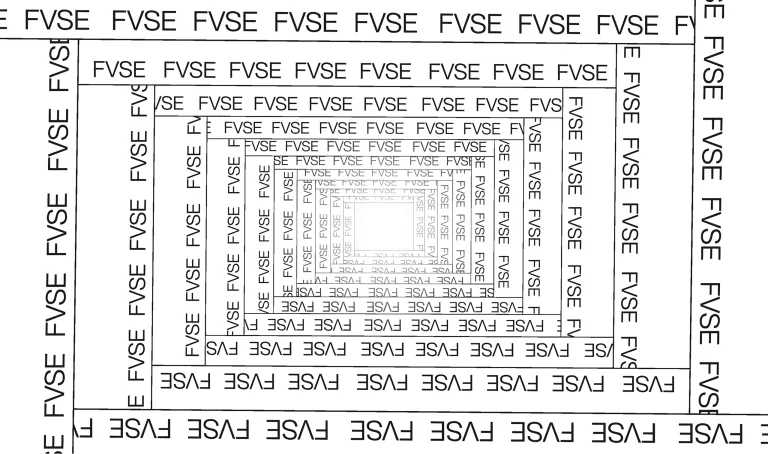 FVSE project image